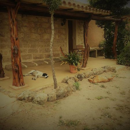 Li Casacci Bed & Breakfast Arzachena Dış mekan fotoğraf