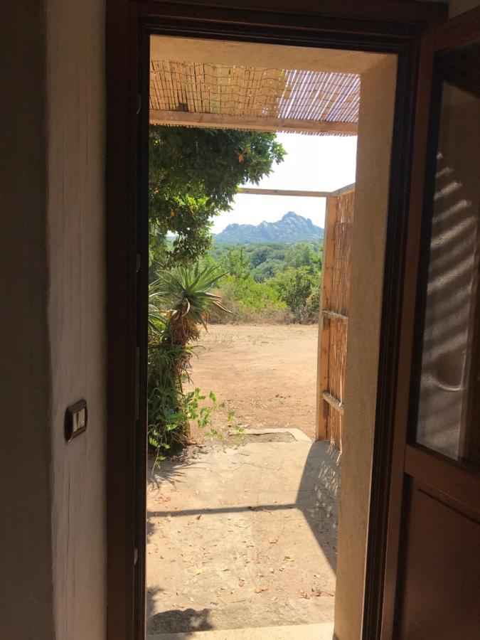 Li Casacci Bed & Breakfast Arzachena Dış mekan fotoğraf